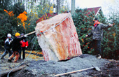 Sandstone Boulder Installation